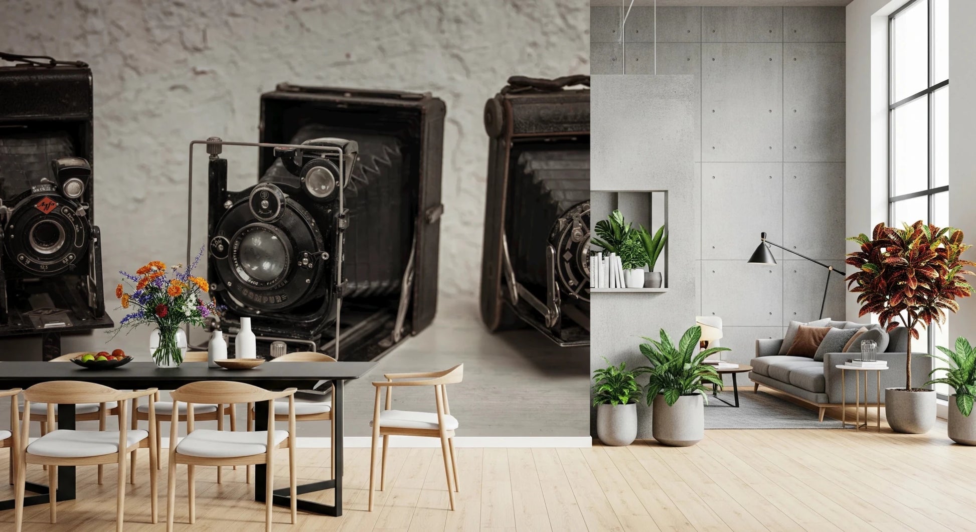 Vintage Camera Trio Wall Mural
