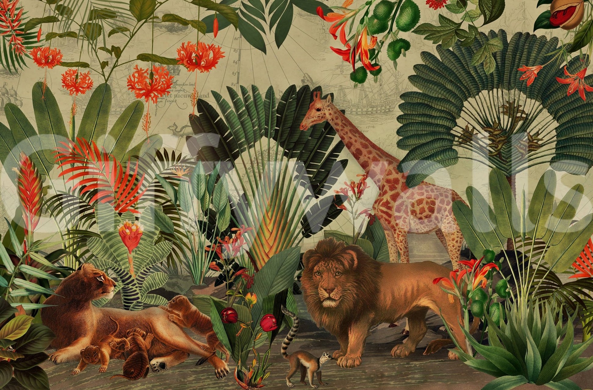 Vintage Explorer's Dream Wall Mural