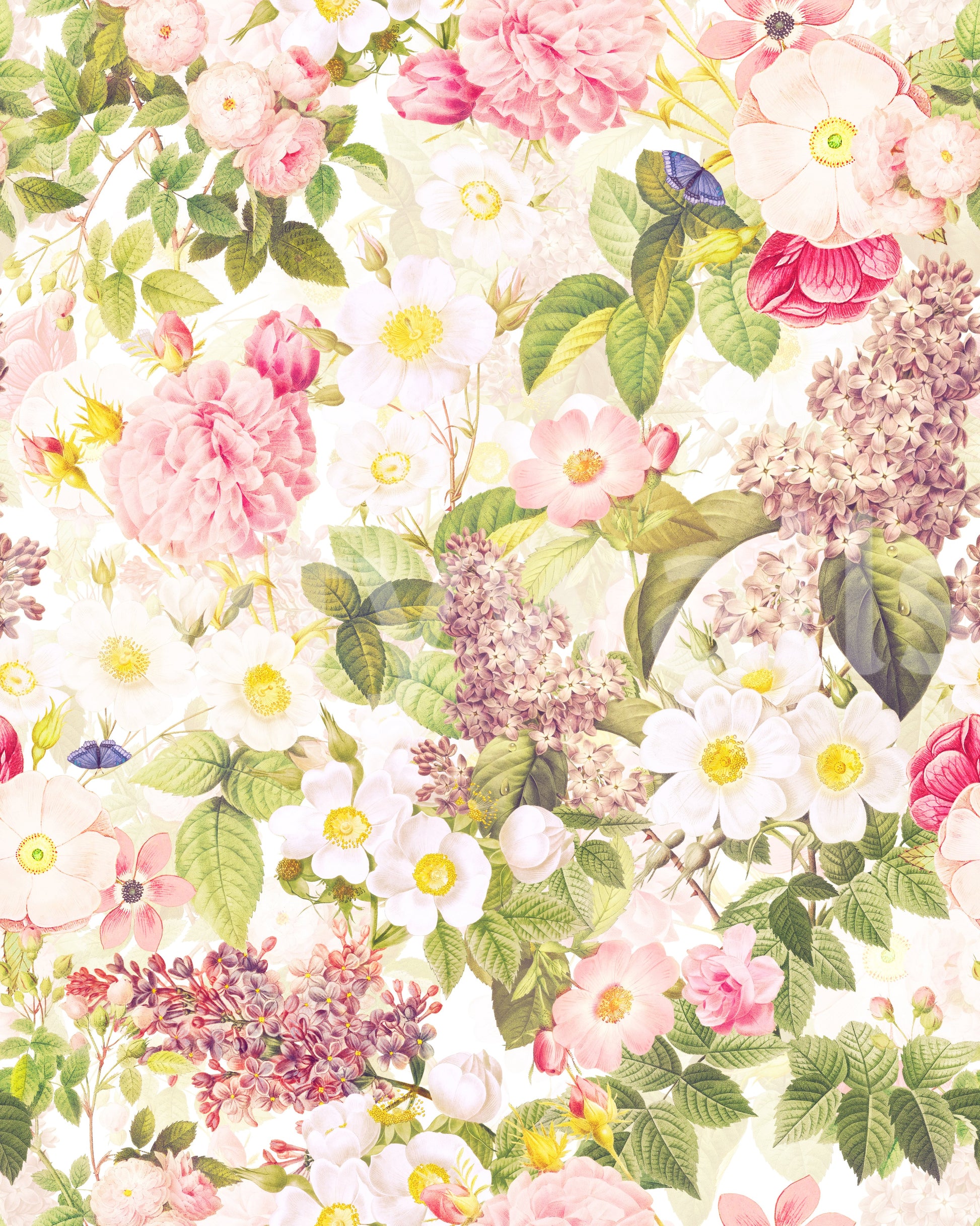 Wall mural of lush garden blooms in pastel shades

