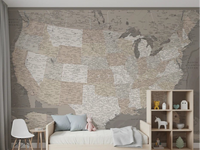 Vintage - looking detailed USA Map, Davey Wall Mural