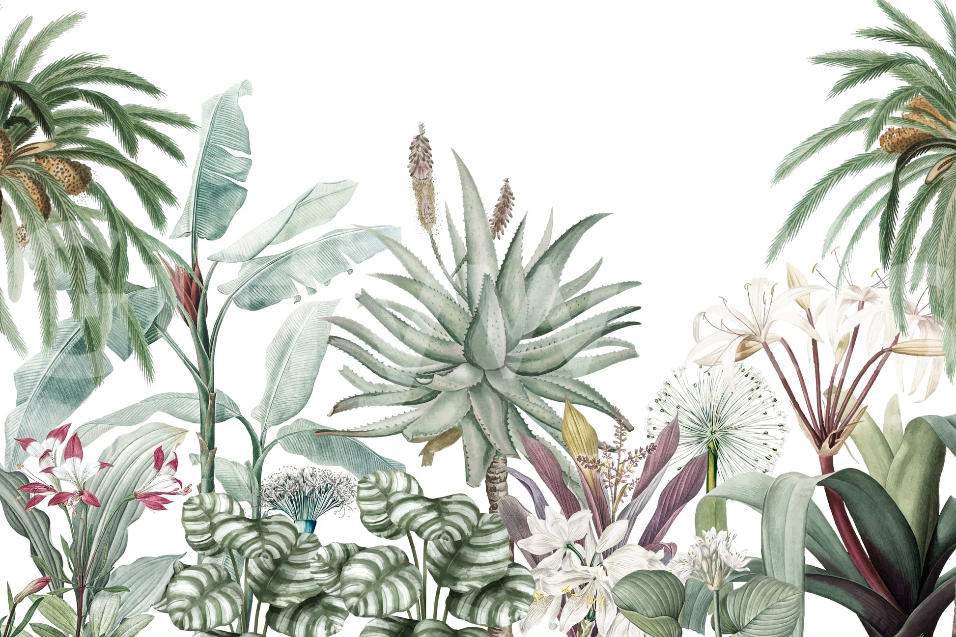 The style is a soft-focus illustration or a painterly design.

