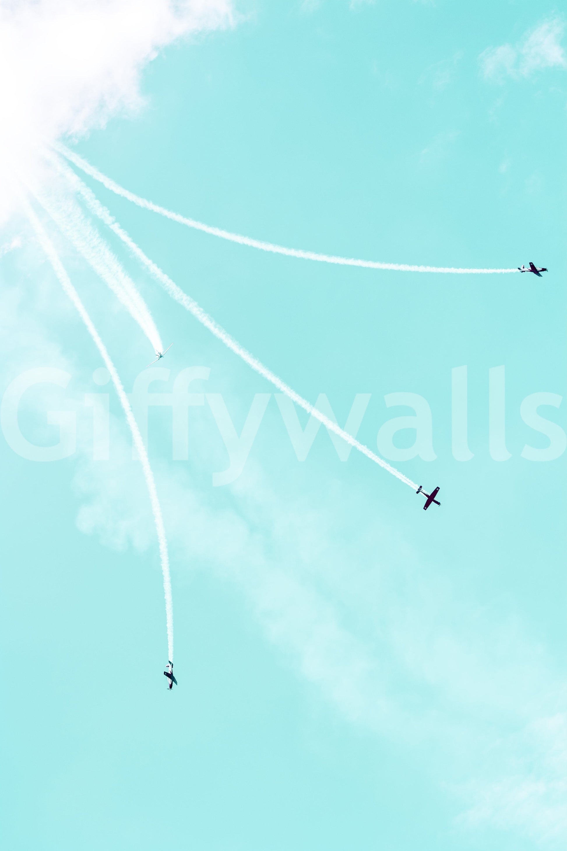 A detail of the brushstrokes and tones in the design.