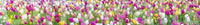 The wallpaper features a subtle, calming pattern.

