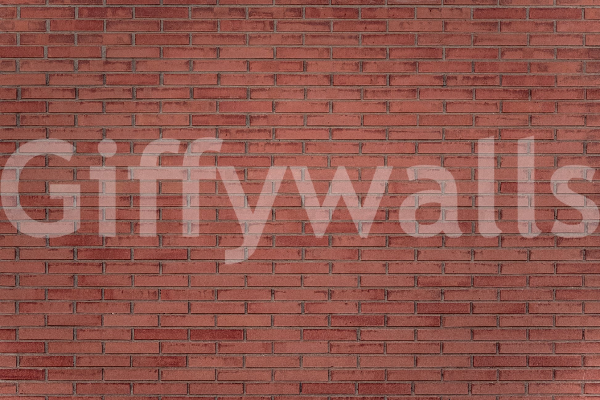 A high-quality minimalist wall mural for walls.

