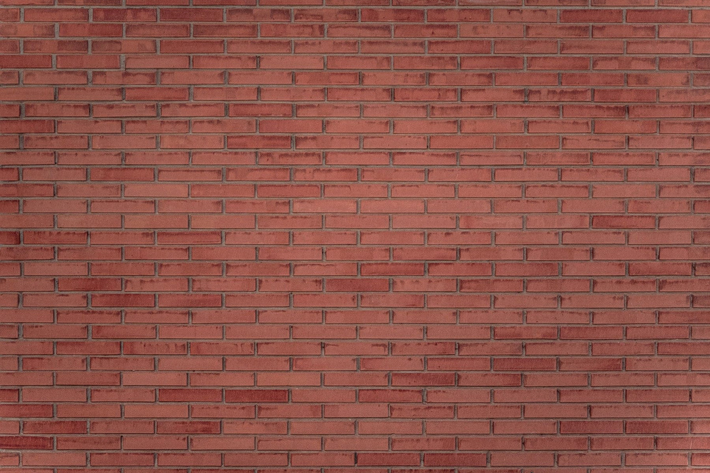 A calming terracotta pattern wallpaper mural that defines a space.

