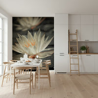 Water Lily flower closeup artistic photography wallpaper black white.