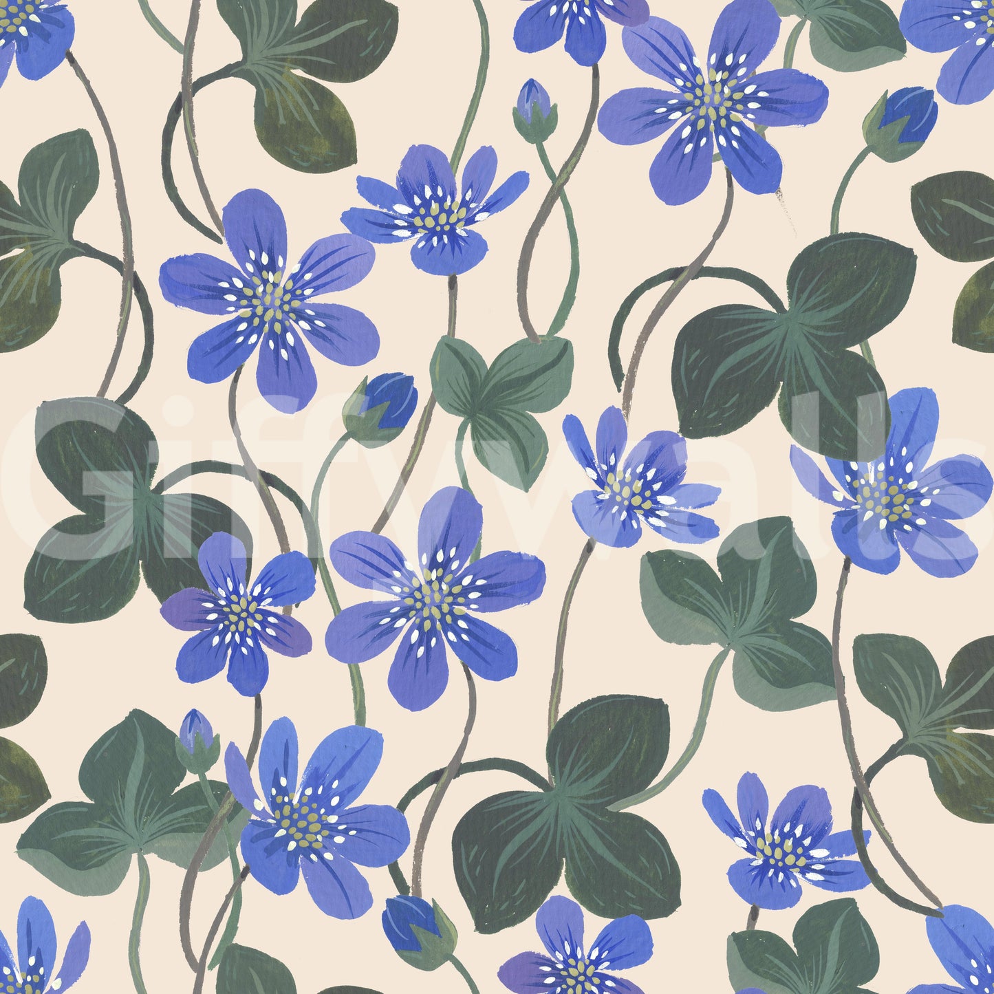 Blue Anemone Wallpaper⁠