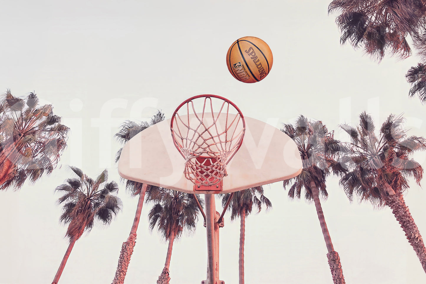 Basketball  Wall Mural