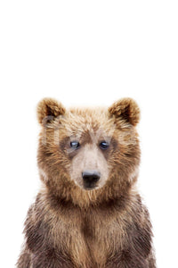 Baby bear wallpaper mural for kids’ cozy space

