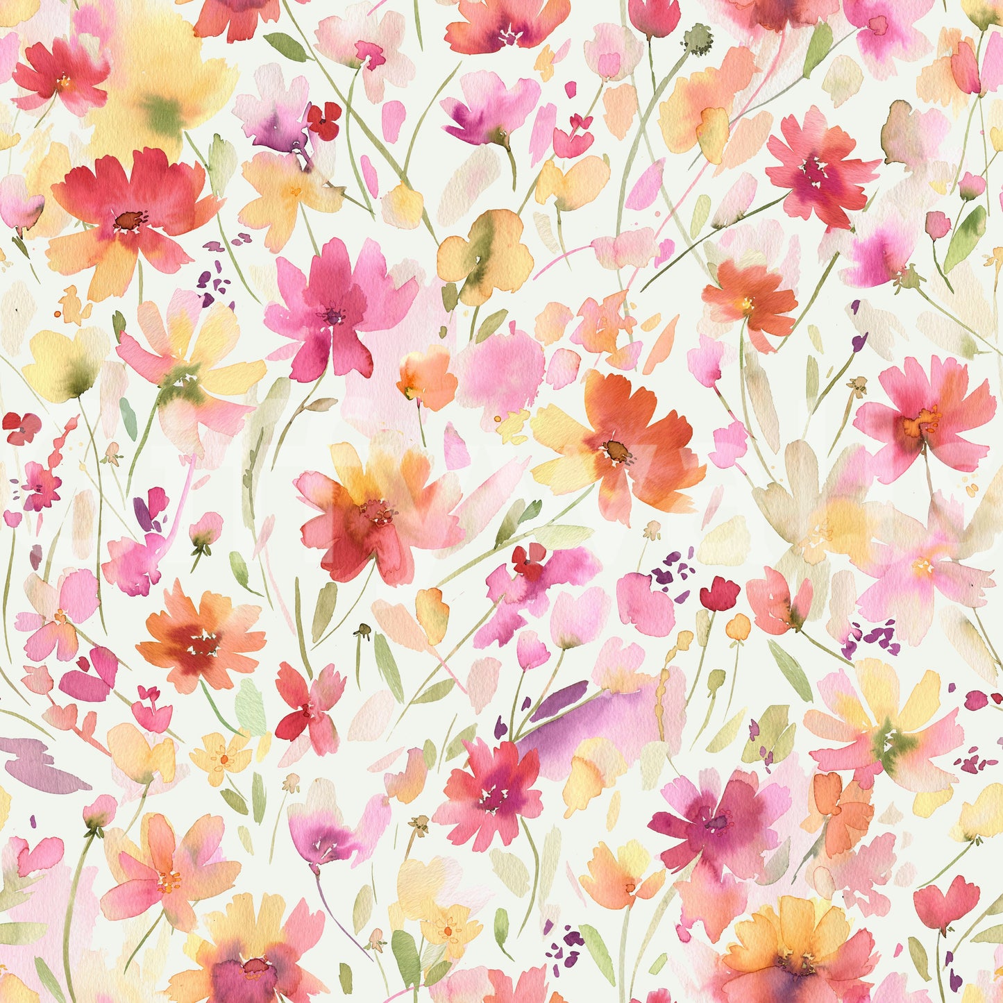 Cosmos Wildflowers Nature Summer  Wallpaper⁠