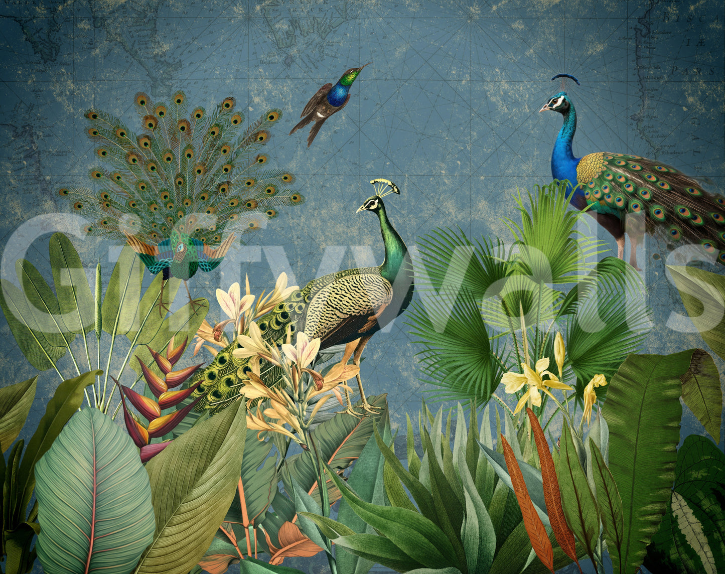 Stunning vintage peacock mural with vibrant paradise tones.

