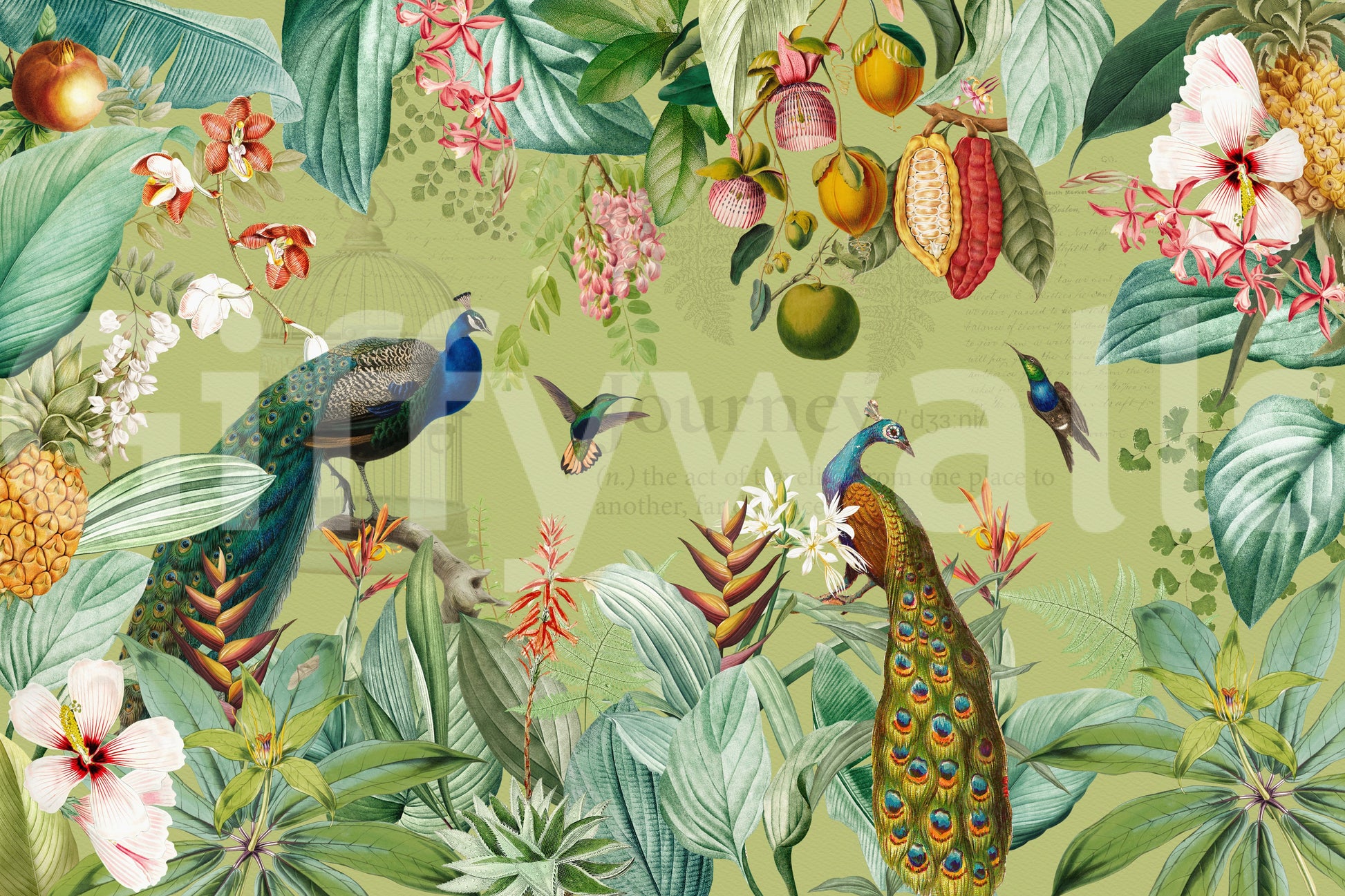 Wallpaper mural with a blend of vintage and botanical elements

