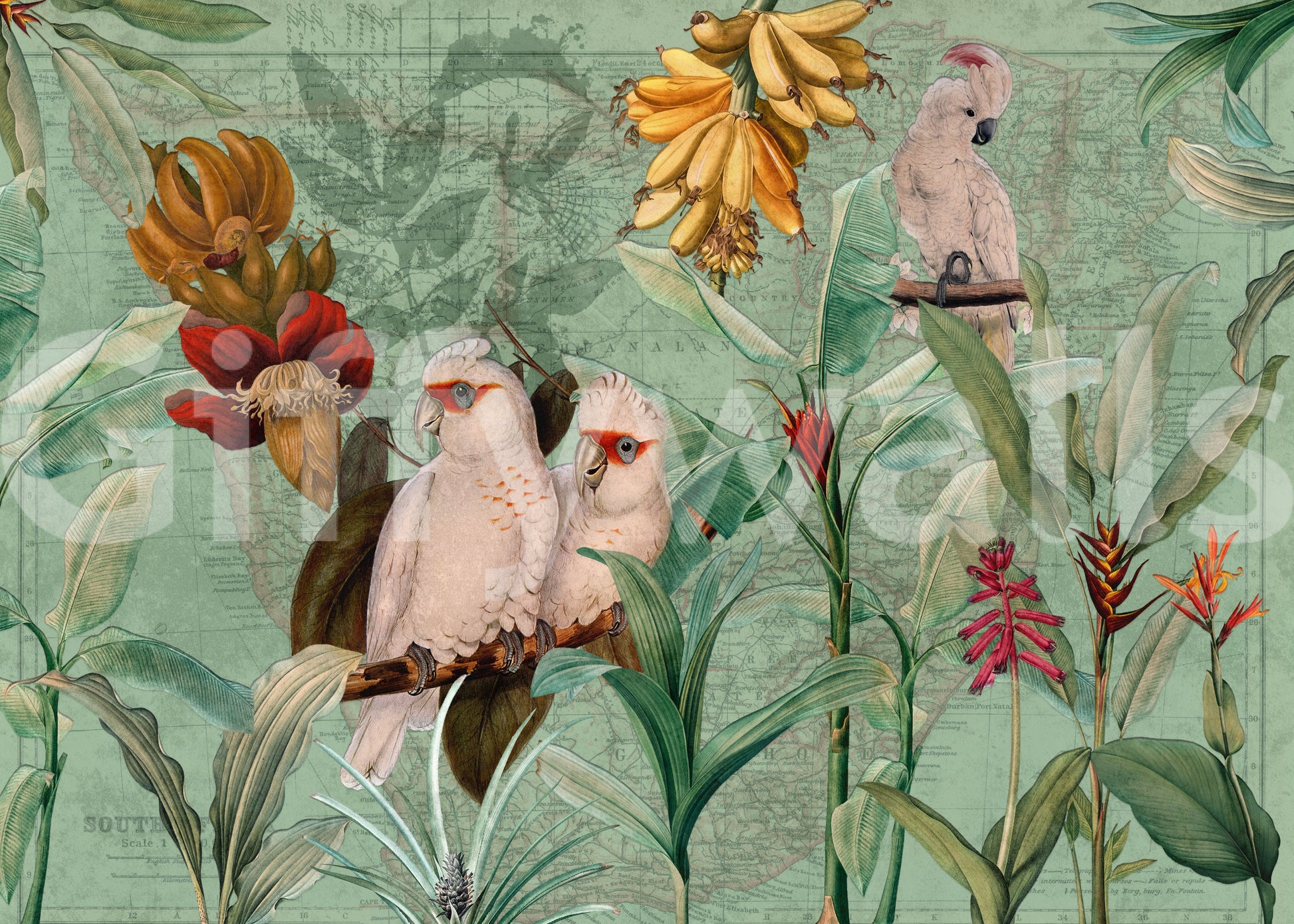 Old-world tropical wallpaper

