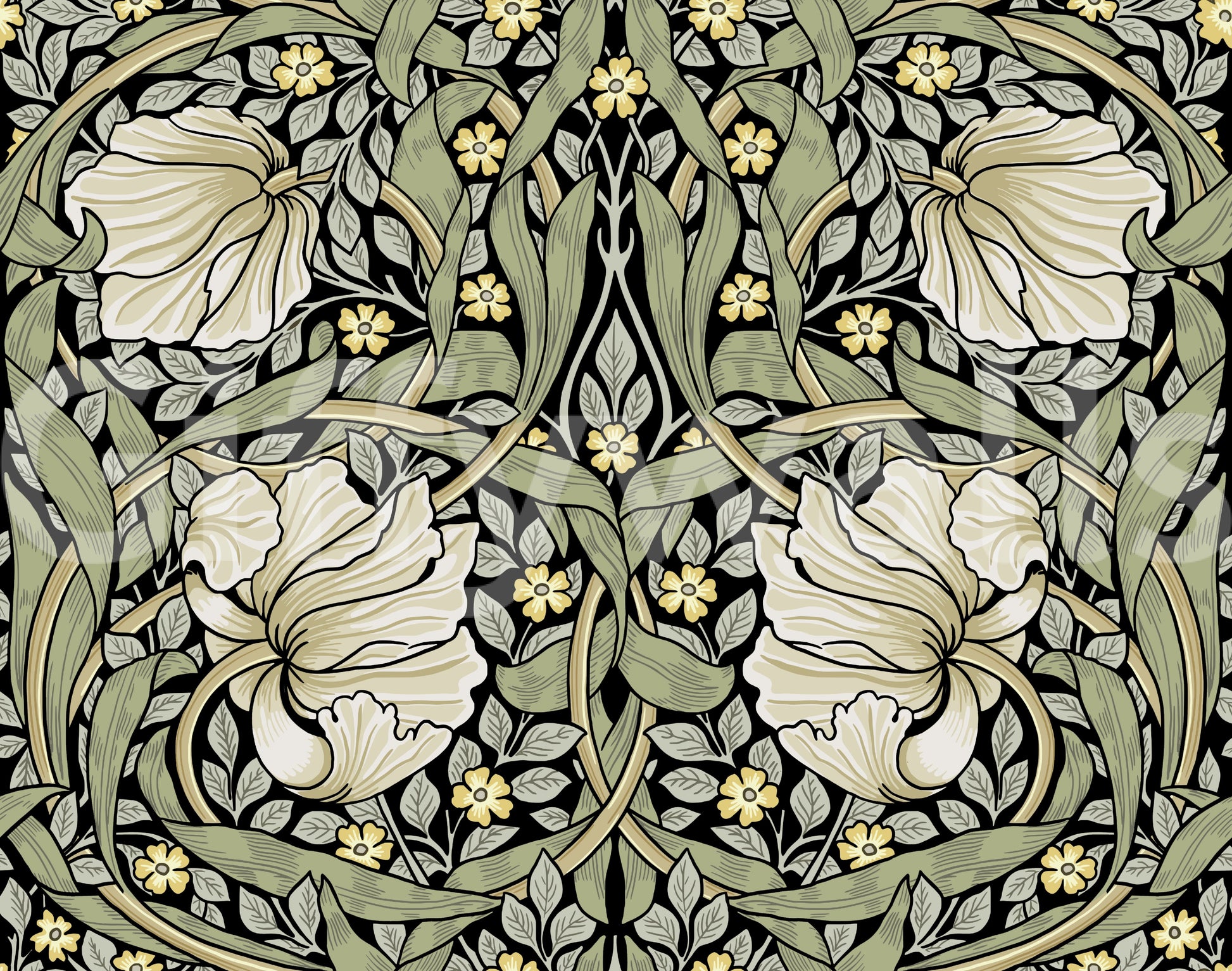 Elegant wallpaper with intricate pimpernel floral patterns

