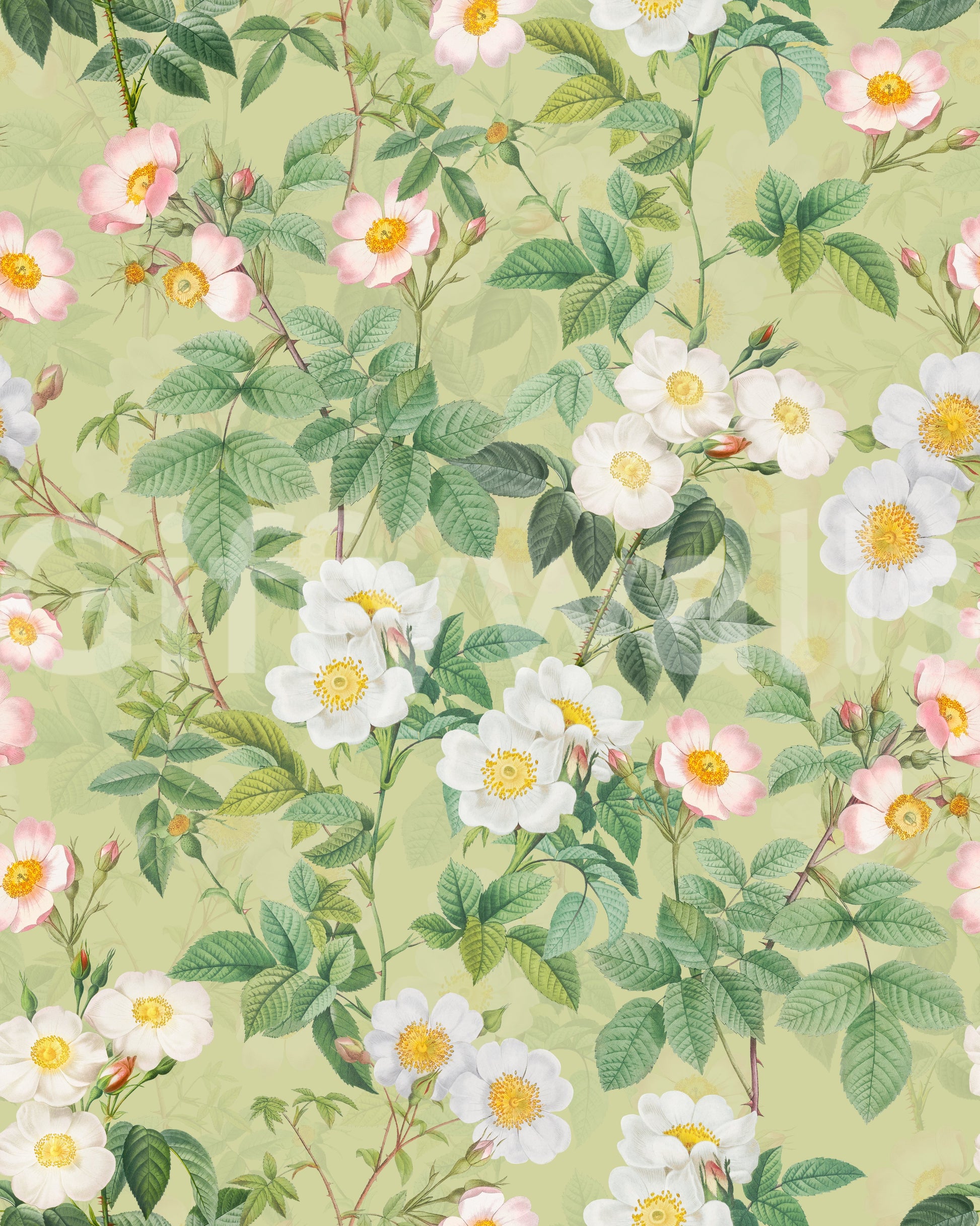 Vintage-inspired wallpaper with soft pink roses and detailed foliage.

