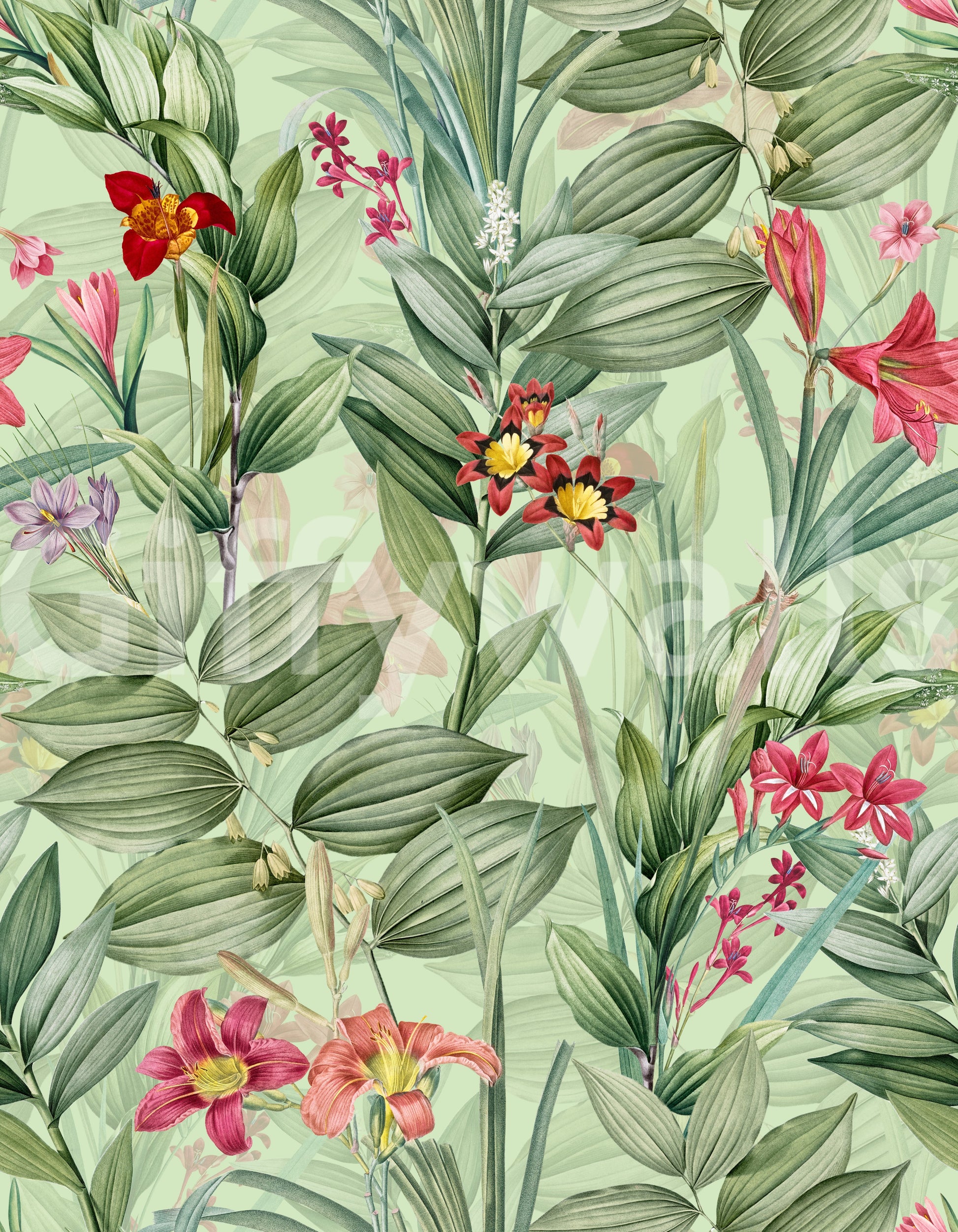 Nature-inspired wallpaper perfect for creating a calm, elegant home

