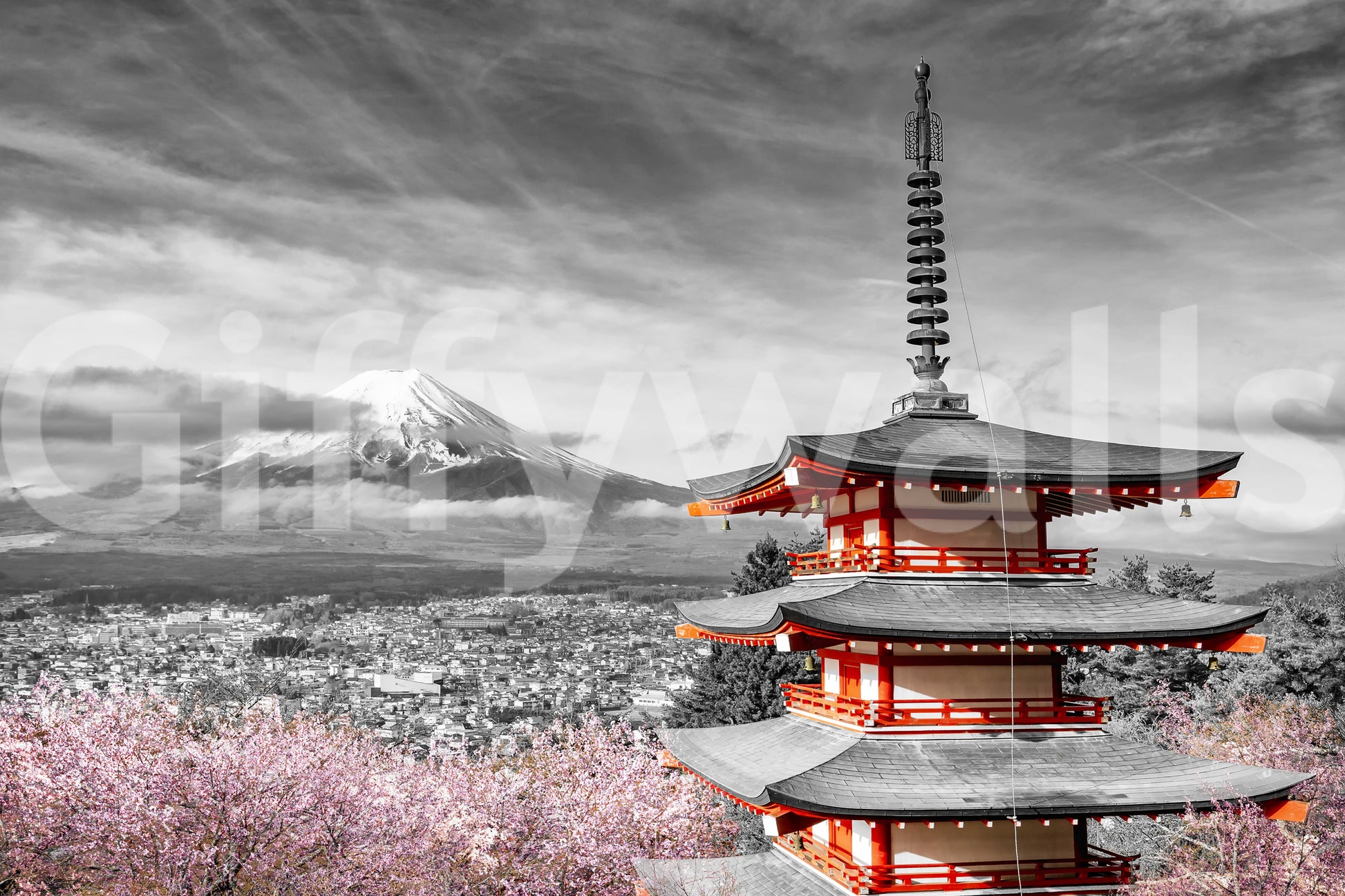 Black and white wall mural with pink cherry blossom focus

