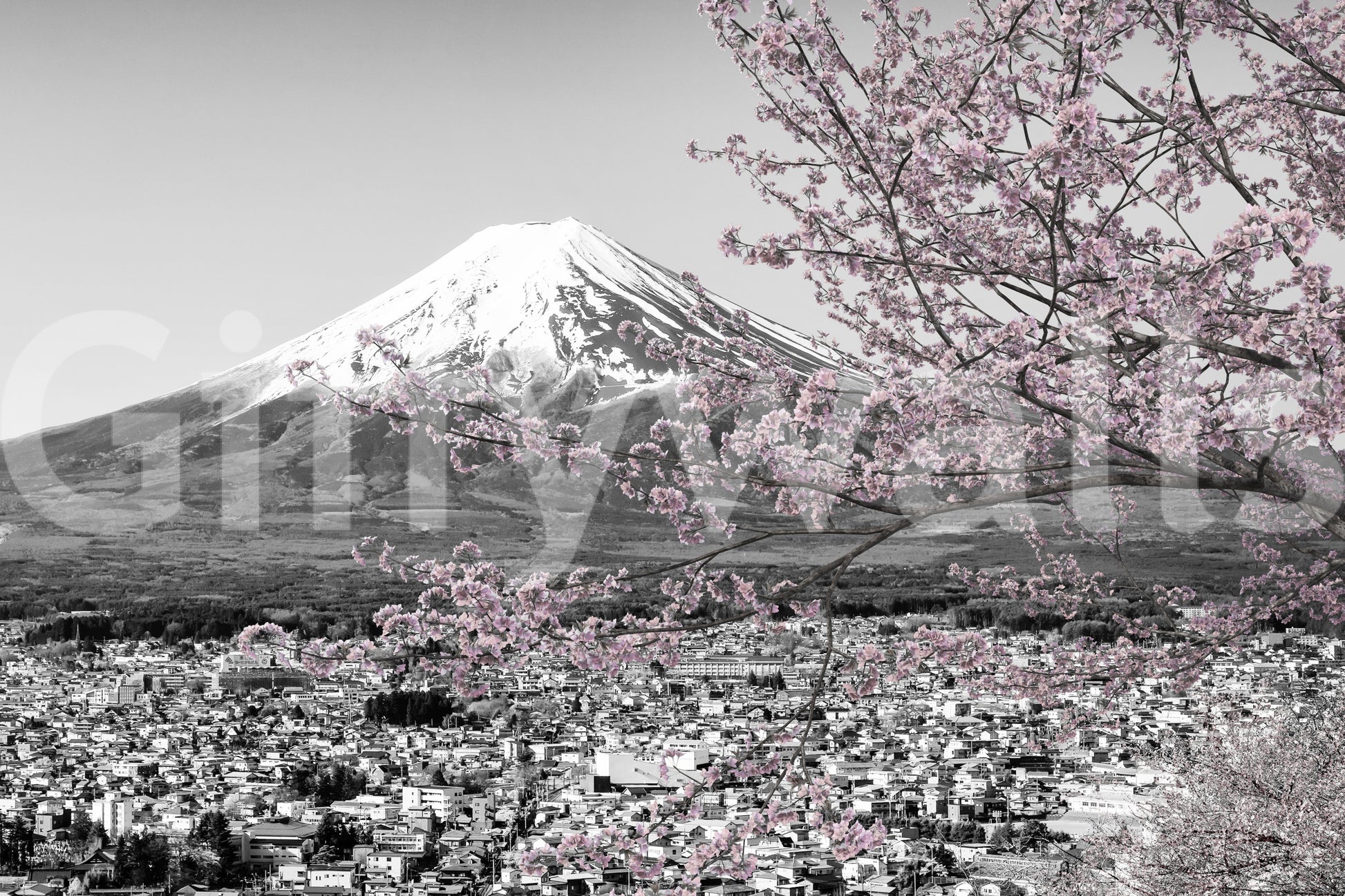 Landscape mural with pink florals and grayscale backdrop

