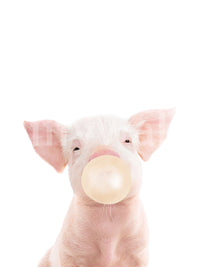 Pastel-colored piglet wall mural with playful bubble


