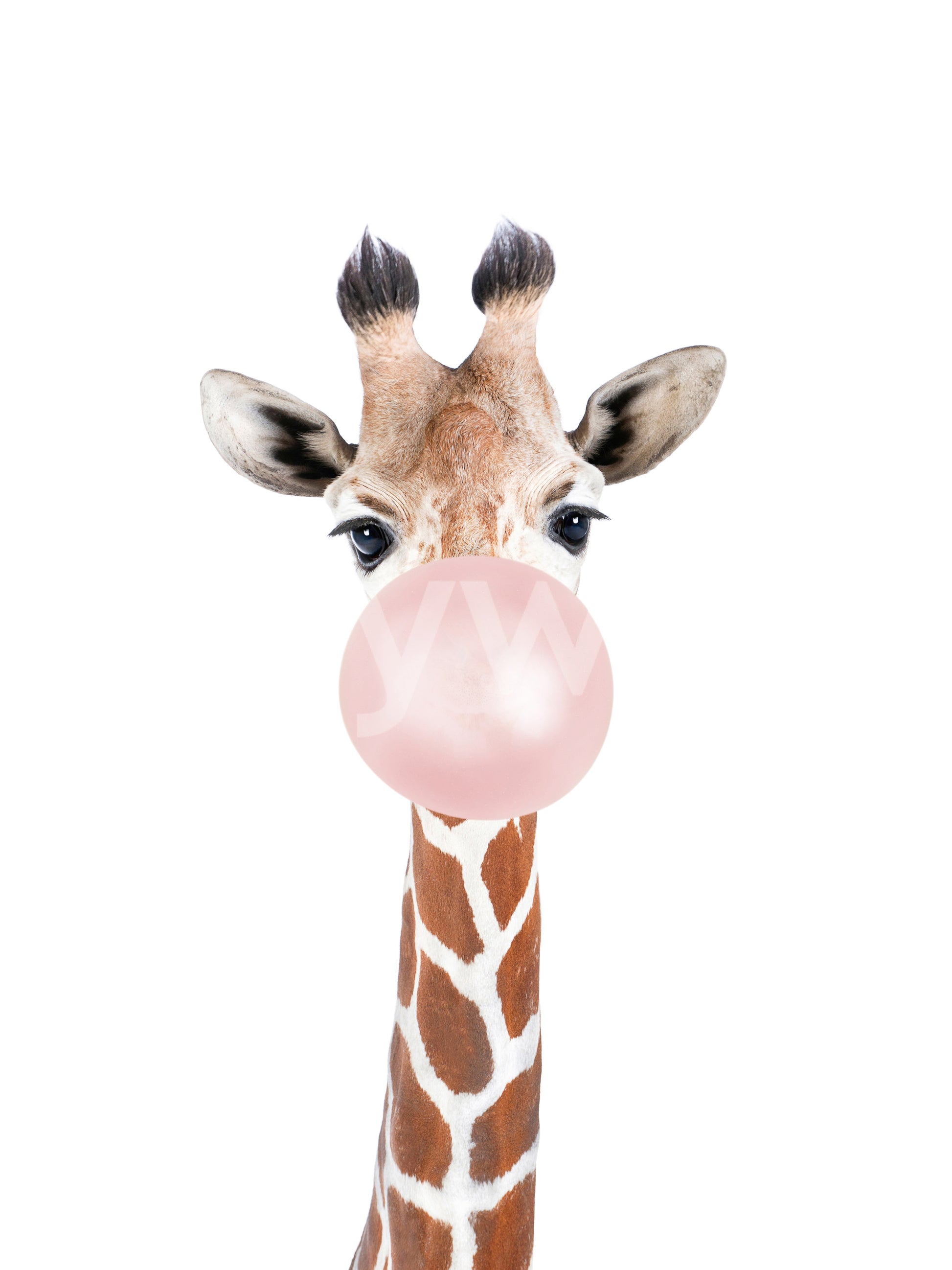 Bubble gum giraffe mural perfect for a lively and fun-filled room.

