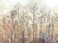 Nature-themed grass wall mural for calming home decor.

