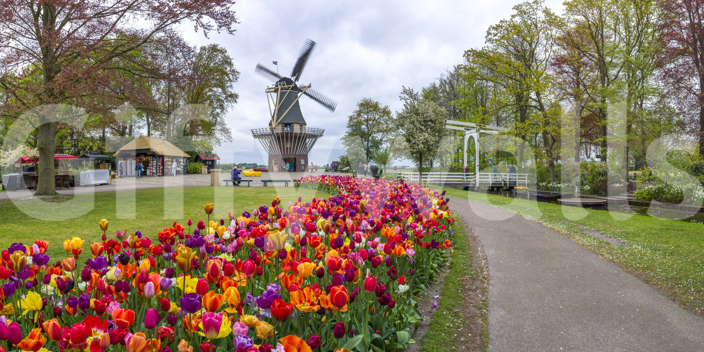 Dutch countryside mural with floral garden path

