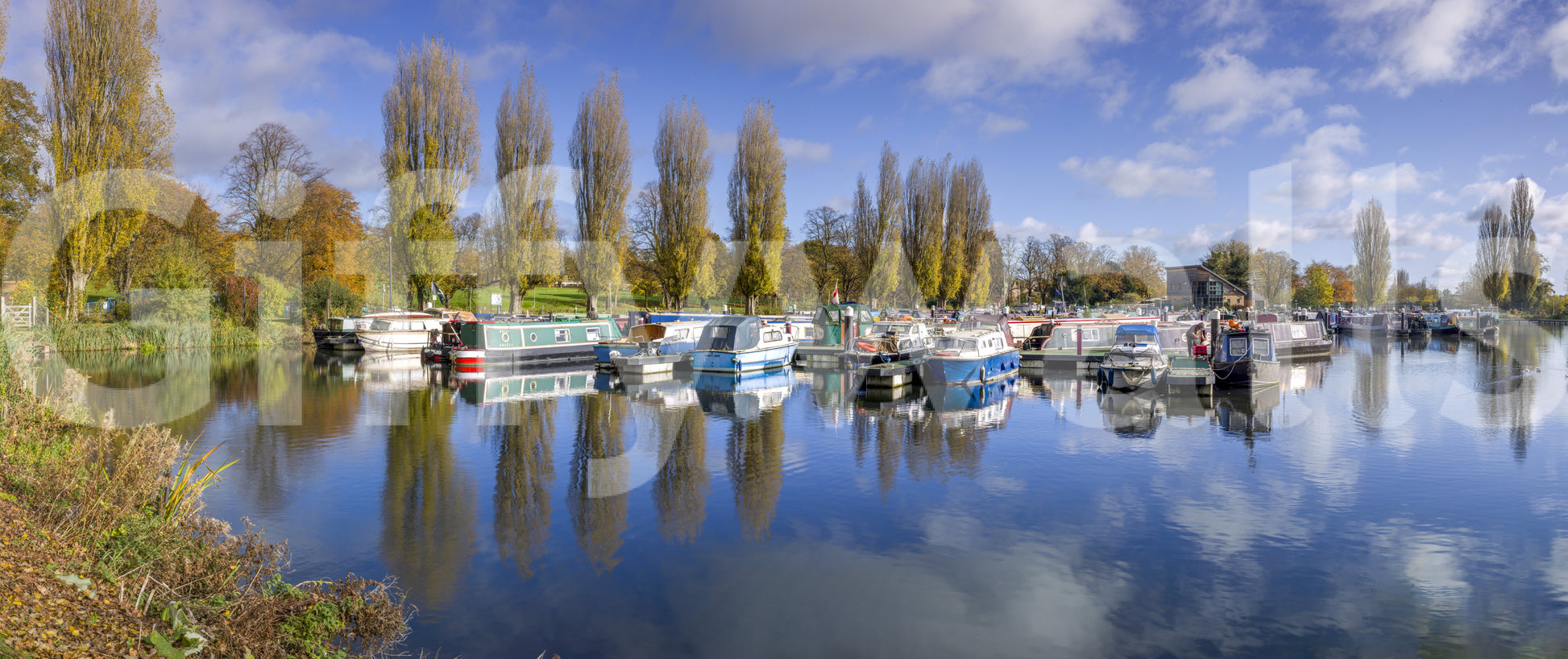 Relaxing boat marina wallpaper for nature-themed rooms

