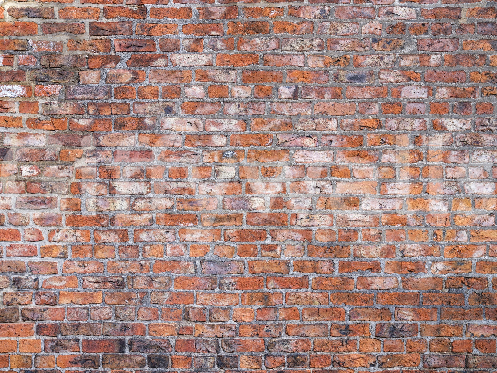 Charming brickwork wall mural with vintage appeal

