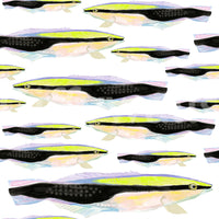 Statement wall art – Animalia v2 Wallpaper design

