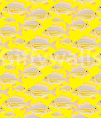 Subtle marine life wallpaper in neutral tones

