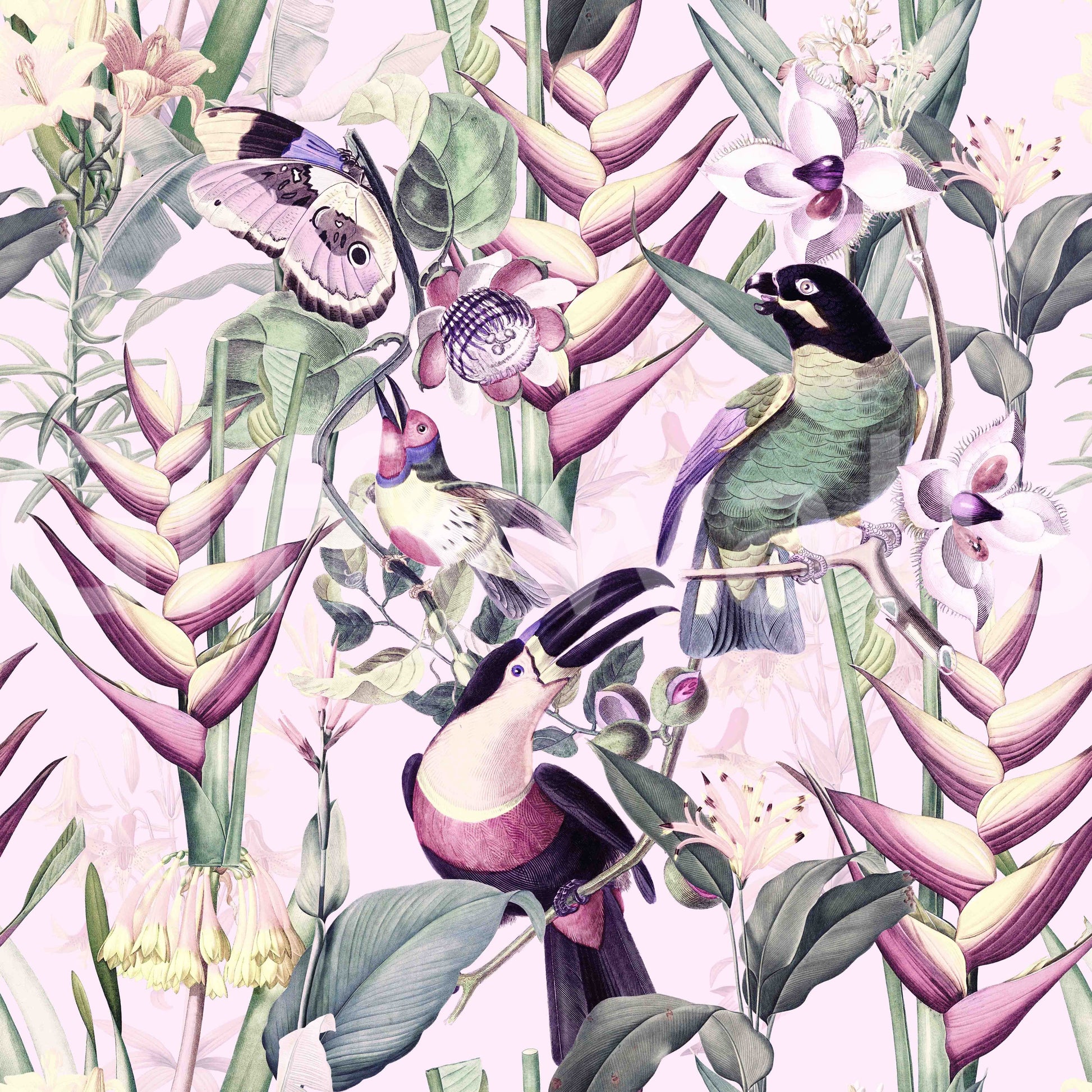 Welcome Jungle wallpaper with dense rainforest vibes

