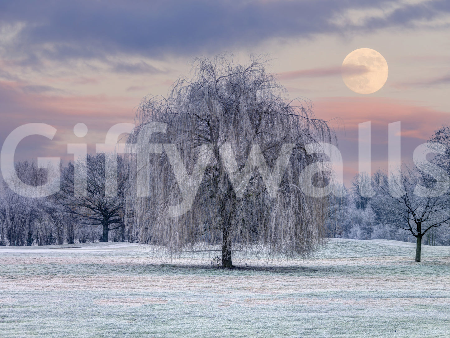A peaceful, frosty meadow design bringing serenity indoors

