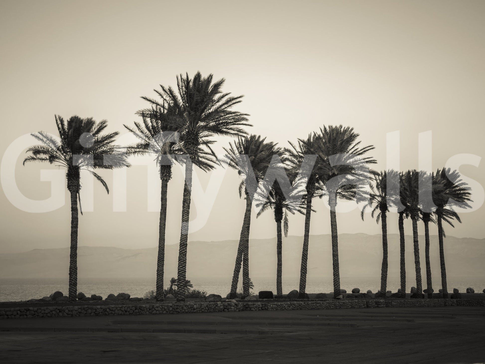 Ideal for creating a relaxing environment in bedrooms or living rooms

