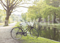 Rustic canal mural with vintage bike
