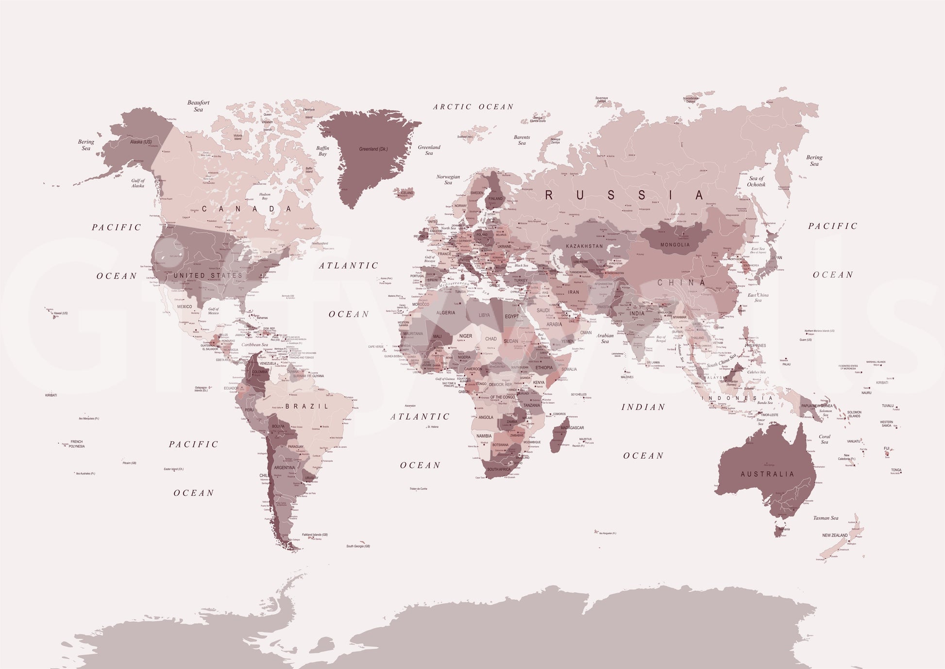 World geography wall mural in blush tones

