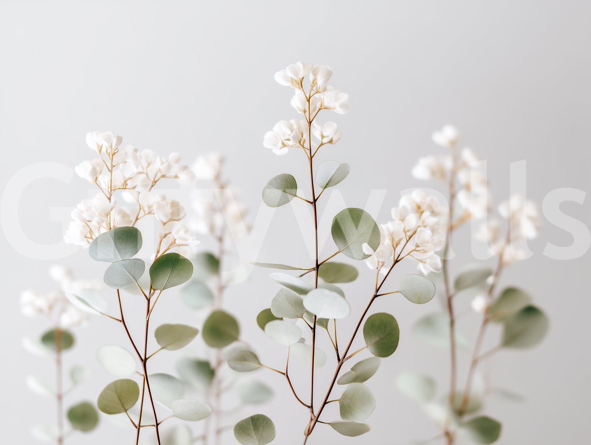 Light flower wallpaper for living room

