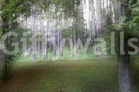 An expansive view of natural beauty
