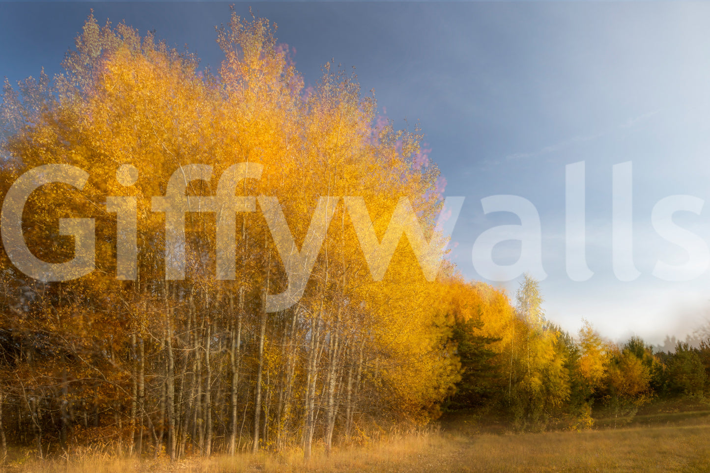 The Golden Autumn Trees mural gives the room a natural, peaceful feel.

