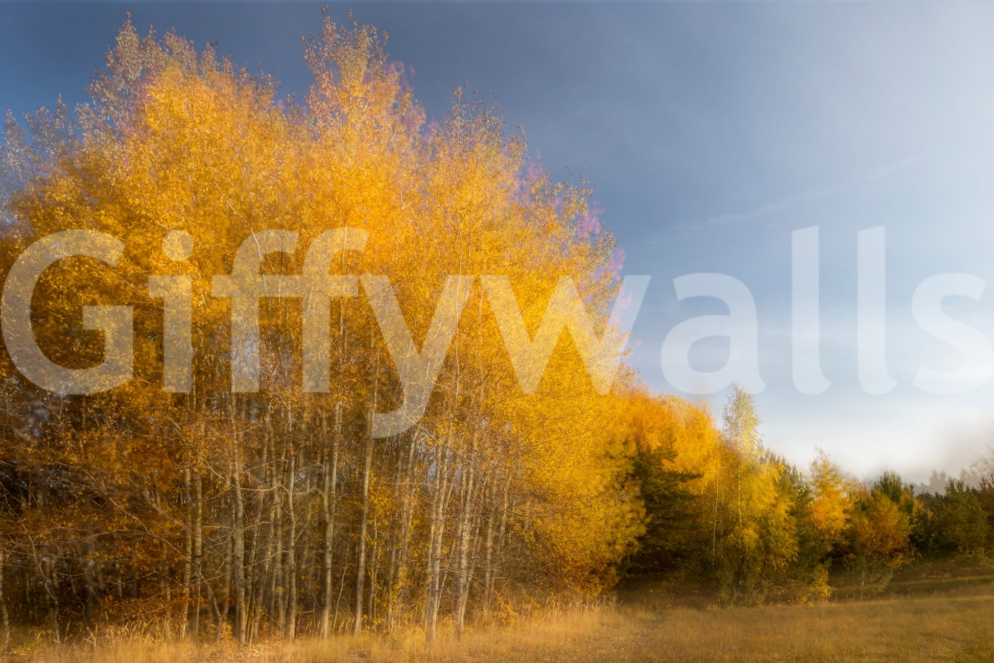 The Golden Autumn Trees mural gives the room a natural, peaceful feel.

