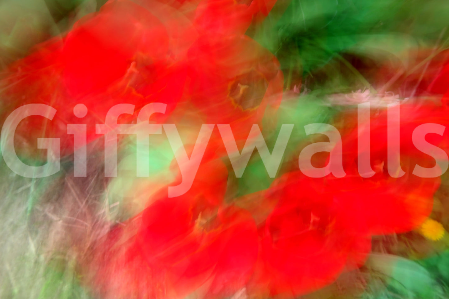 Red blossom with green leaves wallpaper
