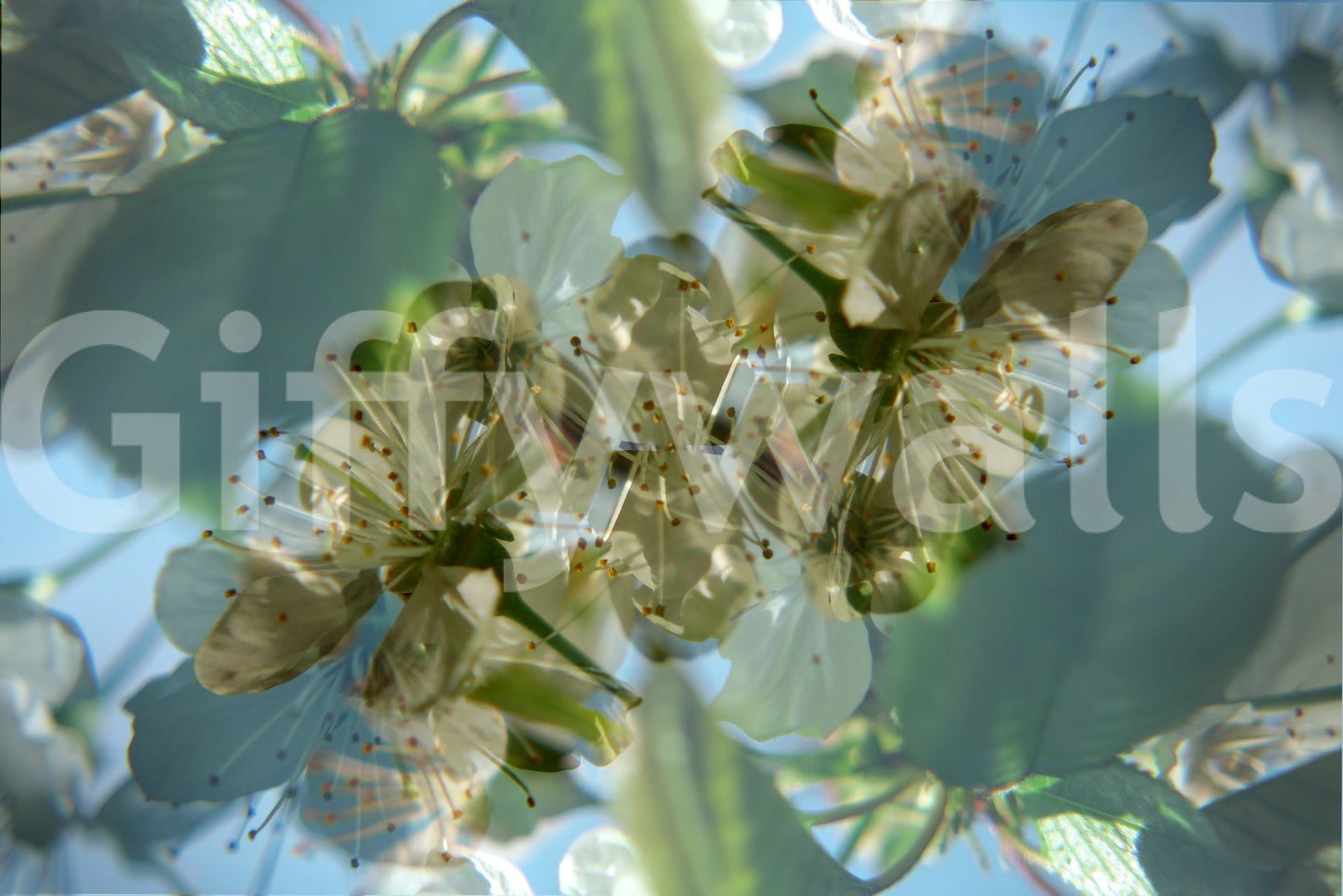 Soft floral texture wall design
