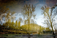 Soft tone water reflection mural
