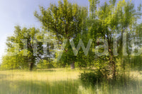 Grounded tree wall wallpaper
