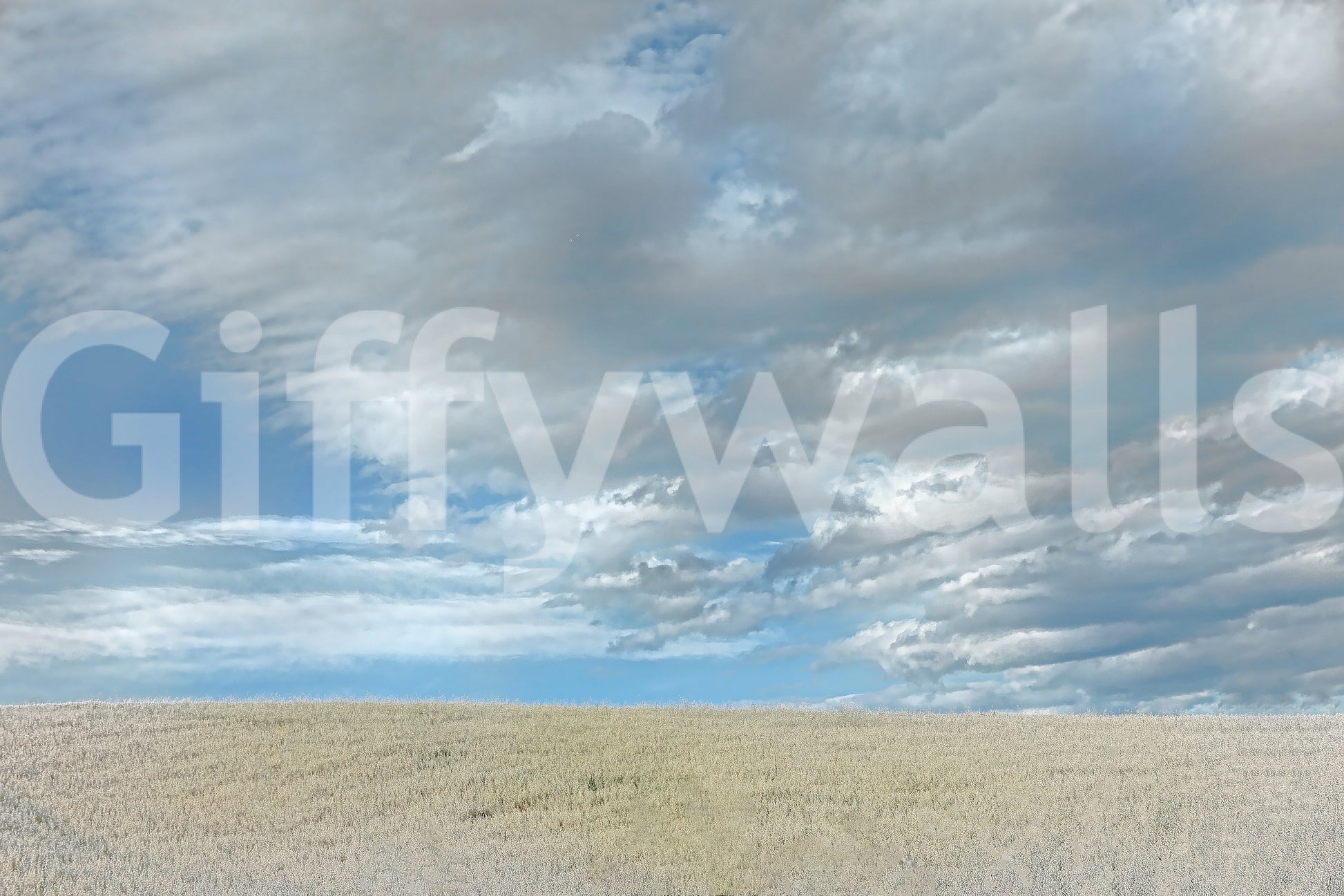 Expressive sky and land mural
