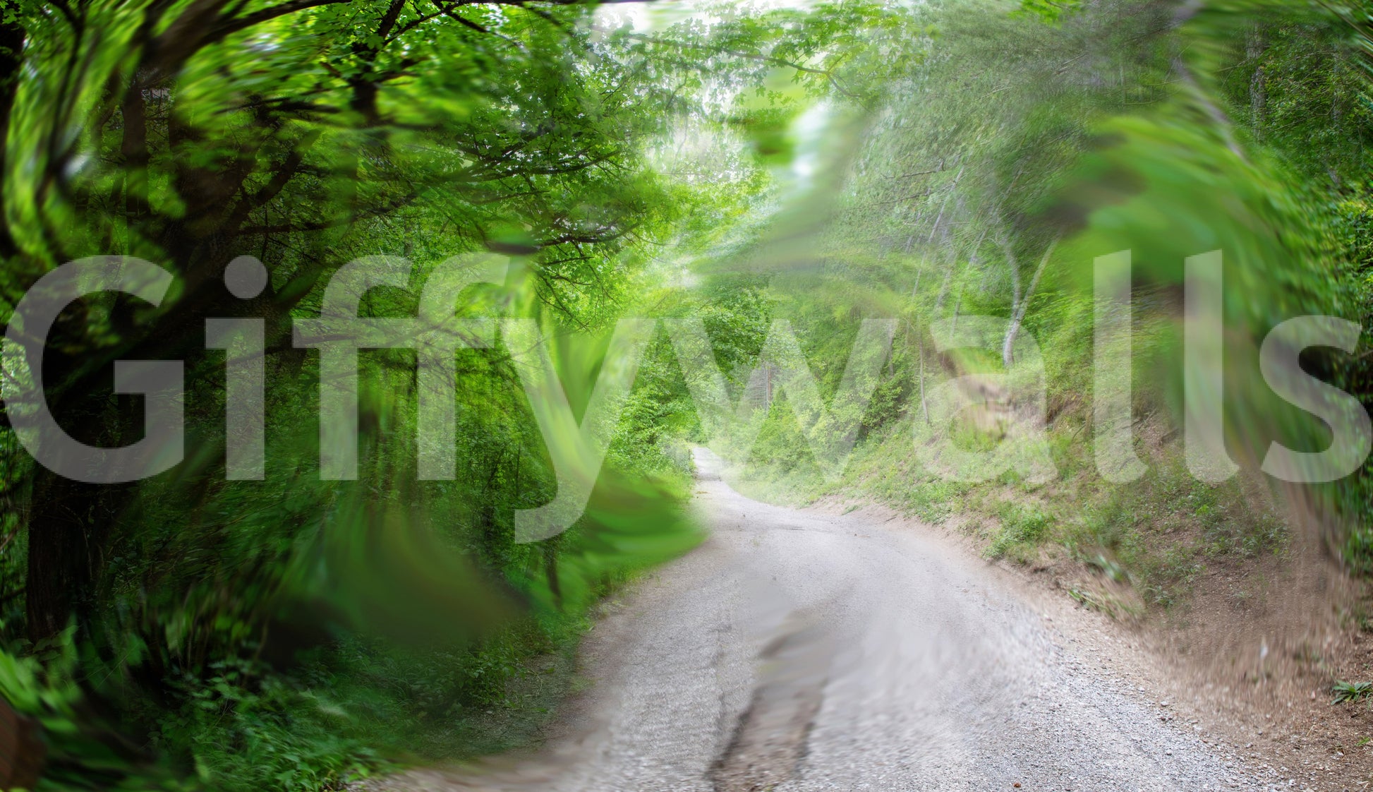 Still green pathway wall art
