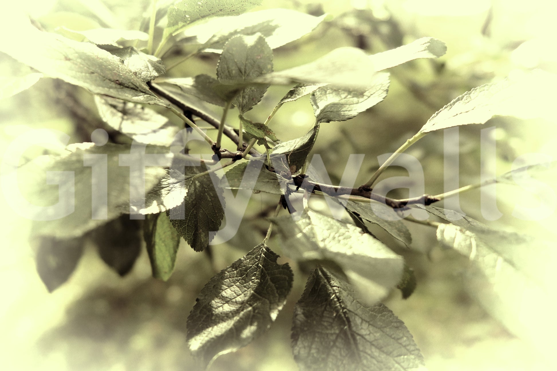 Muted tone leaf wallpaper design
