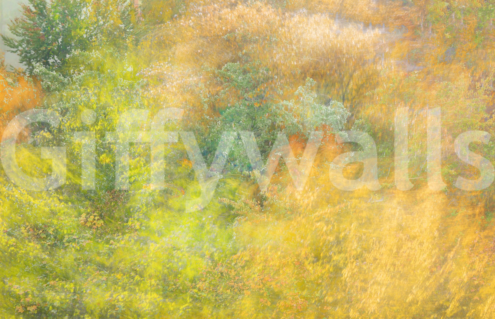 Blurred fall landscape mural
