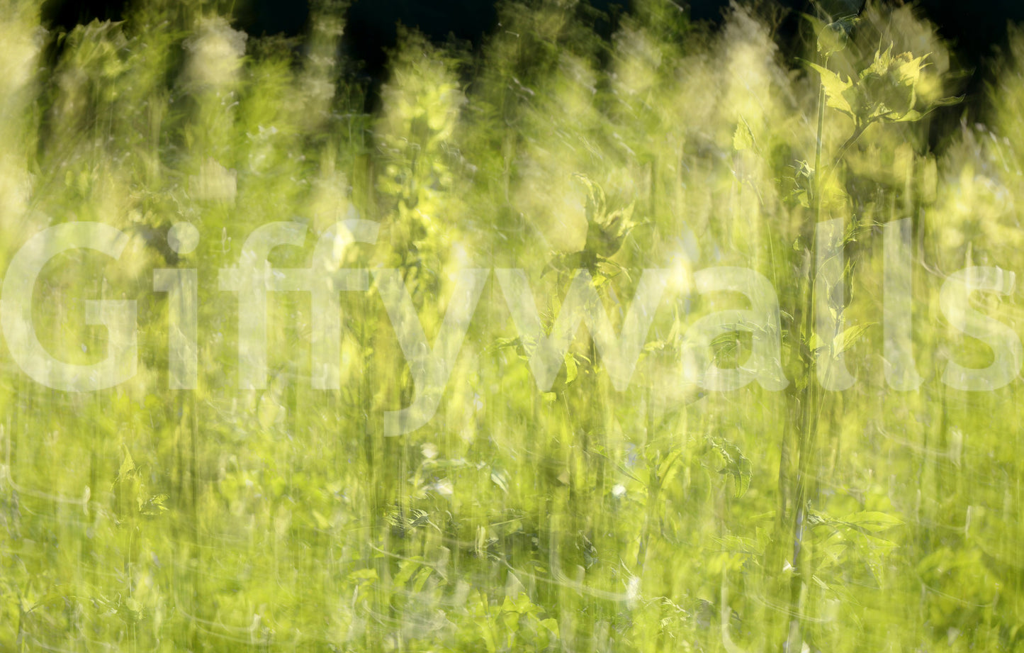 Easy to install ethereal green field mural.

