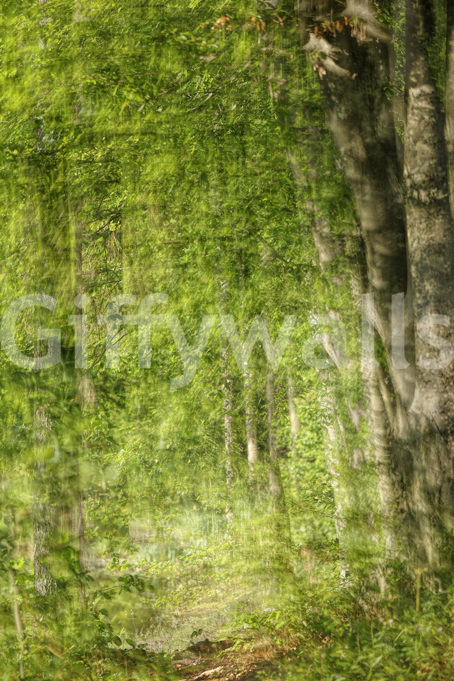 Easy to install serene forest pathway mural.