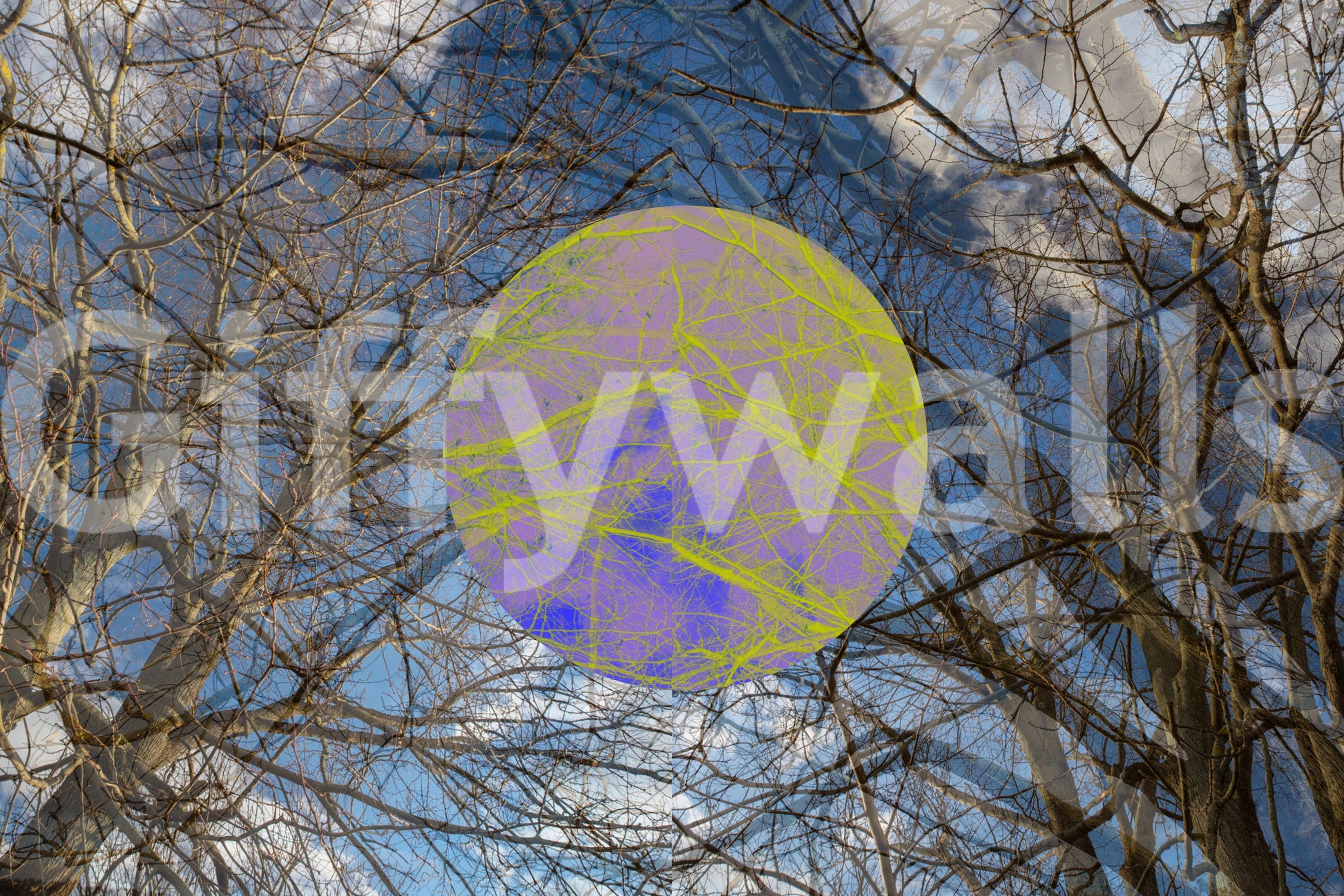 Artistic wall mural for home decor
